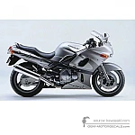 Kawasaki ZZR600 2002 - Srebrny