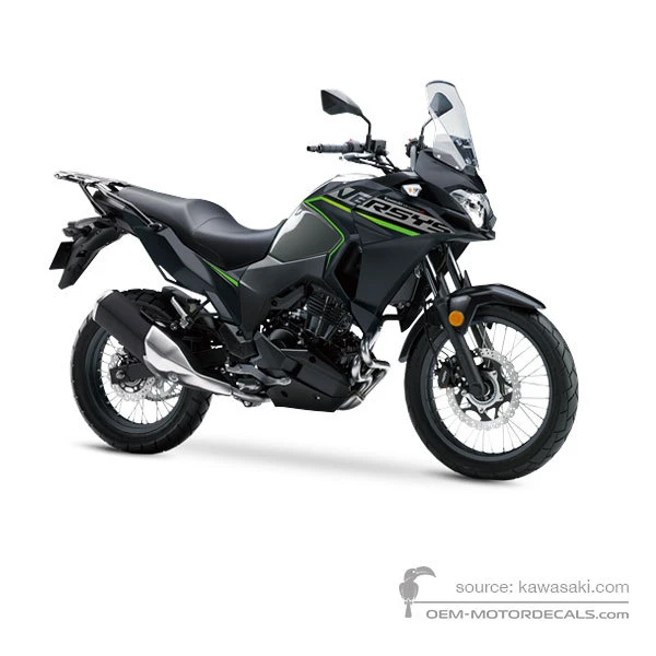 Kawasaki KLE300 VERSYSX 2019 - Szary