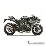 Kawasaki NINJA H2 | ZX1000 Carbon 2024