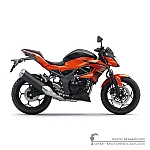 Kawasaki Z250SL | BR250 2016