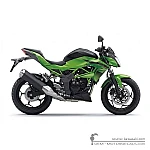 Kawasaki Z250SL | BR250 2016