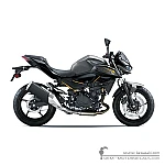 Kawasaki Z500 | ER500 2026