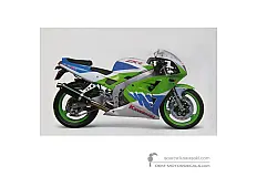 Pegatinas para Kawasaki ZXR400 | ZX400 1993 - Verde • Kawasaki Pegatinas OEM
