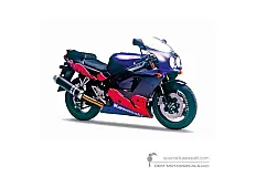 Pegatinas para Kawasaki ZXR400 | ZX400 1993 - Violeta • Kawasaki Pegatinas OEM