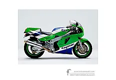 Autocollants pour Kawasaki ZXR750  | ZX750 1989 - Vert • Kawasaki Autocollants OEM