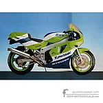 Kawasaki ZXR750  | ZX750 1990 - Grün