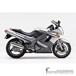 Kawasaki ZZ-R250 | EX250 1999