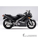 Kawasaki ZZ-R250 | EX250 2003