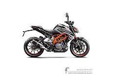 Stickers voor KTM 250 DUKE 2022 - Zilver • KTM OEM Stickers