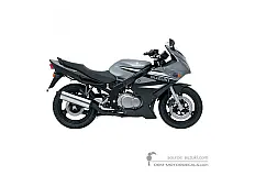 Decals for Suzuki GS500F 2007 - Black • Suzuki OEM Decals