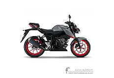 Aufkleber für Suzuki GSXS125 2020 - Grau • Suzuki OEM-Aufkleber