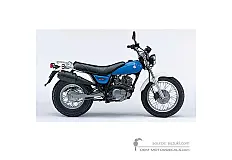 Adesivi per Suzuki RV125 VANVAN 2006 - Blu • Suzuki Adesivi OEM