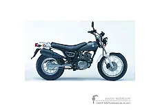 Autocollants pour Suzuki RV125 VANVAN 2006 - Gris • Suzuki Autocollants OEM