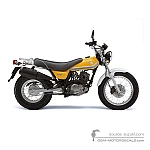 Suzuki RV125 VANVAN 2008 - Giallo