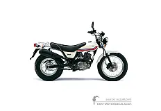 Stickers voor Suzuki RV125 VANVAN 2010 - Wit • Suzuki OEM Stickers