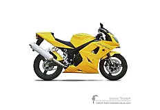 Aufkleber für Triumph DAYTONA 600 2003 - Gelb • Triumph OEM-Aufkleber