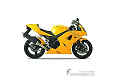 Aufkleber für Triumph DAYTONA 650 2005 - Gelb • Triumph OEM-Aufkleber