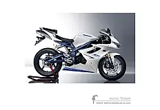 Stickers voor Triumph DAYTONA 675 2009 - Wit • Triumph OEM Stickers
