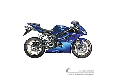 Decals for Triumph DAYTONA 675 2011 - Blue • Triumph OEM Decals