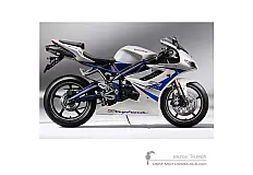 Stickers voor Triumph DAYTONA 675 2011 - Wit • Triumph OEM Stickers