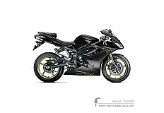 Decals for Triumph DAYTONA 675 2012 - Black • Triumph OEM Decals