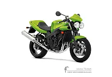 Aufkleber für Triumph SPEED FOUR 2003 - Grün • Triumph OEM-Aufkleber