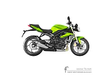 Adesivi per Triumph STREET TRIPLE 675 2014 - Verde • Triumph Adesivi OEM