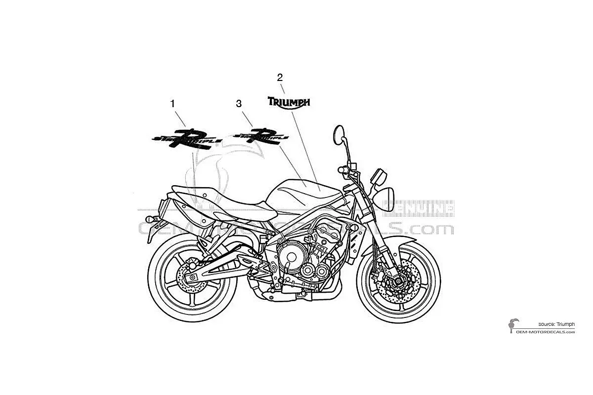 Autocollants pour Triumph STREET TRIPLE 675 R 2009 - Gris • Triumph Autocollants OEM