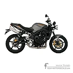 Triumph STREET TRIPLE 675 R 2011 - Gris