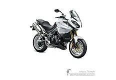 Naklejki do Triumph TIGER 1050 2007 - Biały • Triumph Naklejki OEM