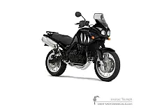 Naklejki do Triumph TIGER 955i 2001 - Czarny • Triumph Naklejki OEM