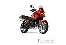 Stickers voor Triumph TIGER 955i 2003 - Oranje • Triumph OEM Stickers