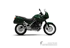 Decals for Triumph TIGER 955i 2005 - Green • Triumph OEM Decals