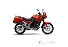 Aufkleber für Triumph TIGER 955i 2005 - Orange • Triumph OEM-Aufkleber