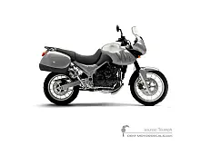 Adesivi per Triumph TIGER 955i 2005 - Argento • Triumph Adesivi OEM