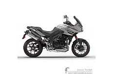 Pegatinas para Triumph TIGER SPORT 1050 2018 - Plata • Triumph Pegatinas OEM
