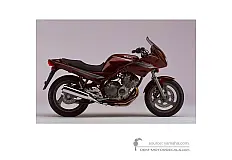 Autocollants pour Yamaha XJ600S DIVERSION 1995 - Brun • Yamaha Autocollants OEM