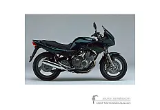 Stickers voor Yamaha XJ600S DIVERSION 2000 - Groen • Yamaha OEM Stickers