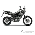 Yamaha XT660Z Tenere 2008 - Negro