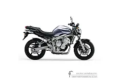 Decals for Yamaha FZ6N 2004 - Silver • Yamaha OEM Decals