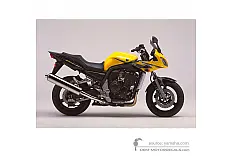 Stickers voor Yamaha FZS1000S FAZER 2003 - Geel • Yamaha OEM Stickers