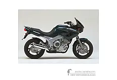 Stickers voor Yamaha TDM850 1996 - Groen • Yamaha OEM Stickers