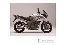 Decals for Yamaha TDM900 2002 - Silver • Yamaha OEM Decals