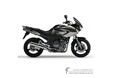 Naklejki do Yamaha TDM900 2005 - Szary • Yamaha Naklejki OEM