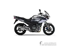 Naklejki do Yamaha TDM900 2005 - Srebrny • Yamaha Naklejki OEM