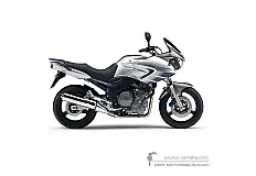 Stickers voor Yamaha TDM900 2008 - Zilver • Yamaha OEM Stickers