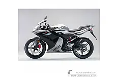 Pegatinas para Yamaha TZR50 2004 - Plata • Yamaha Pegatinas OEM
