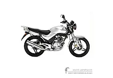 Decals for Yamaha YBR125 2006 - Gray • Yamaha OEM Decals