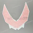 Front cowling decal