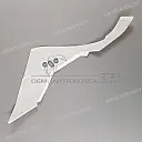 Front cowling decal, left side
